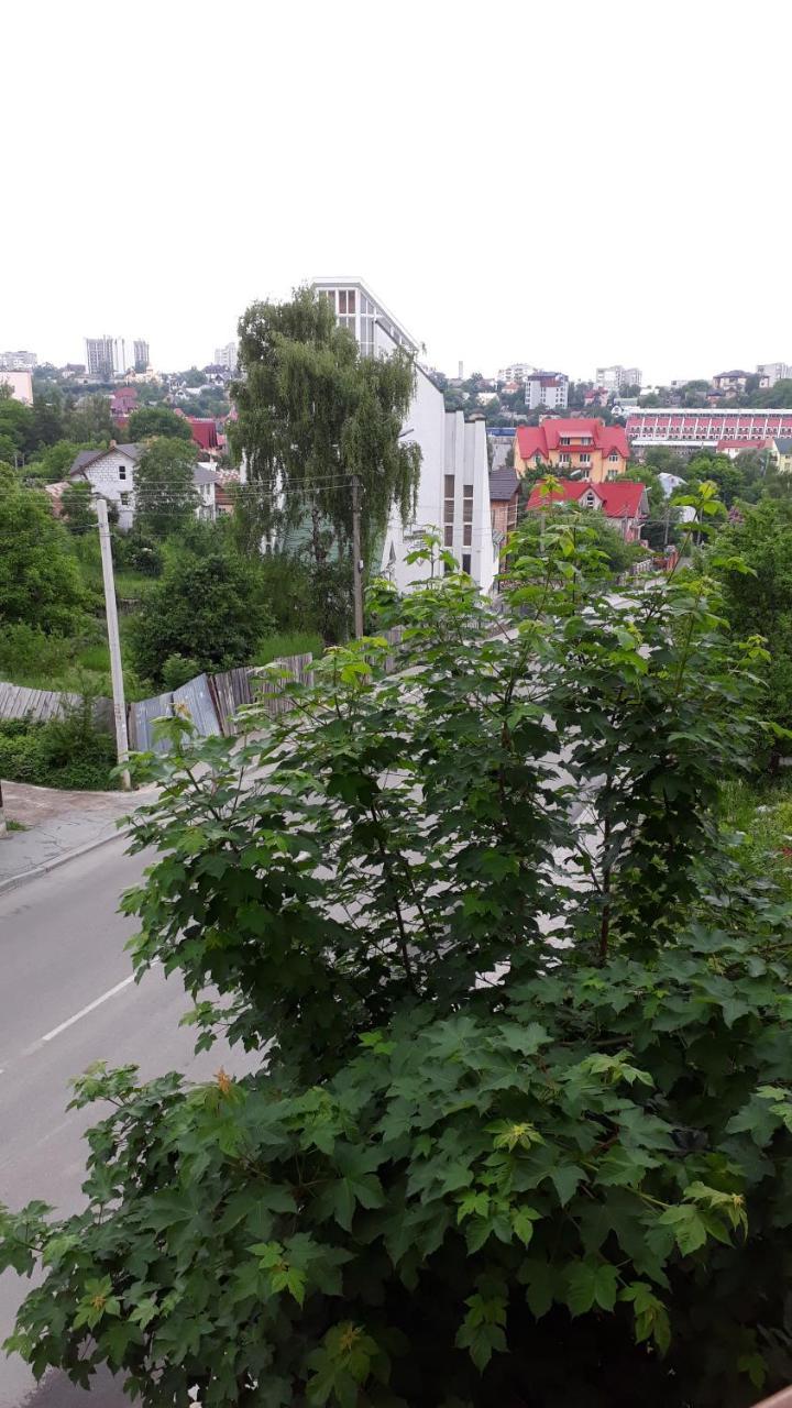 Truskavets Lux Apartment Bagian luar foto